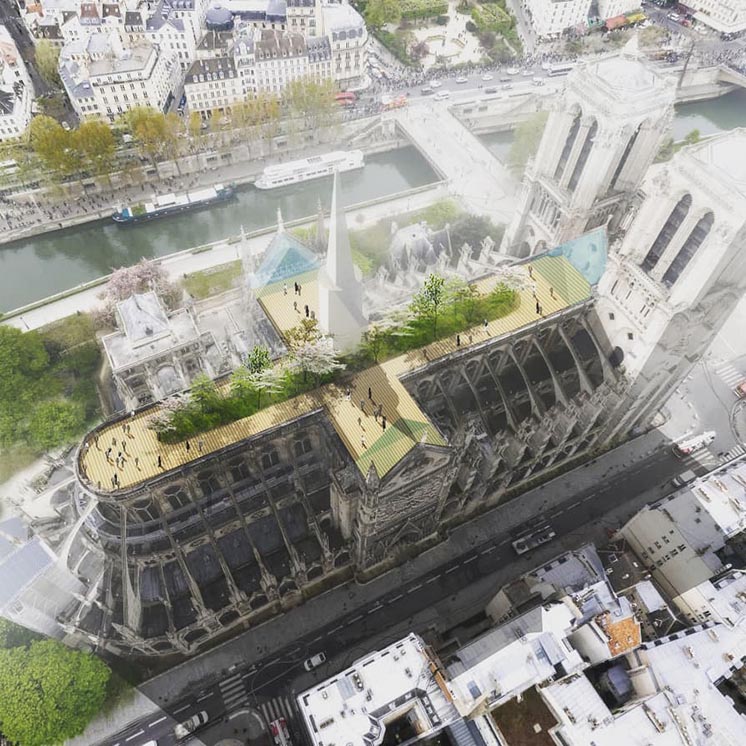 Нове життя Notre-Dame de Paris