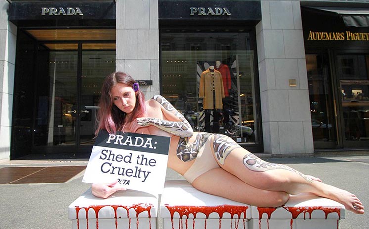 Prada припиняє використовувати натуральне хутро у своїй продукції Prada припиняє використовувати натуральне хутро у своїй продукції