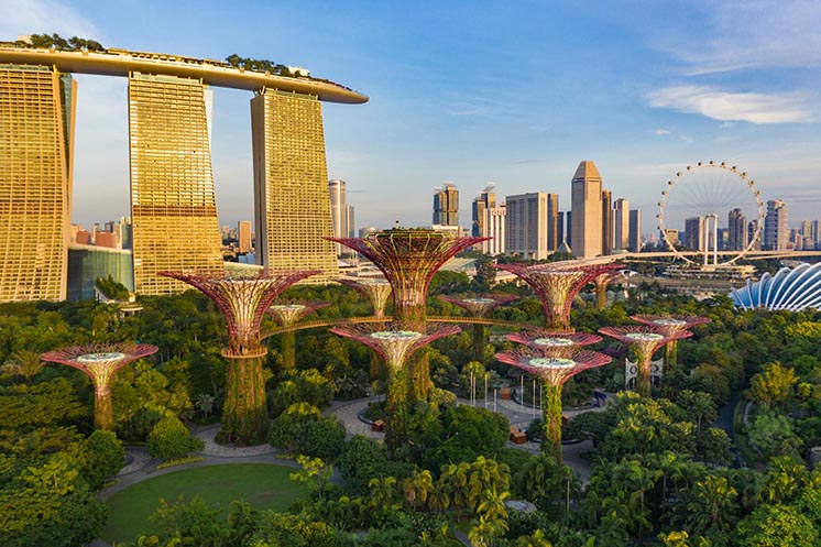 У парку Gardens by the Bay («Сади у затоки») здається, що фантастика стала реальністю